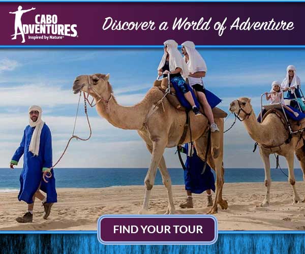 Top rated tour and activity provider in Los Cabos