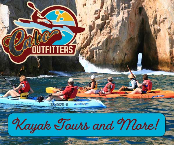 Top rated tour and activity provider in Los Cabos