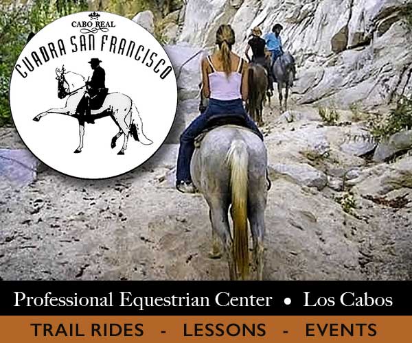 Professional Equestrian center in Los Cabos