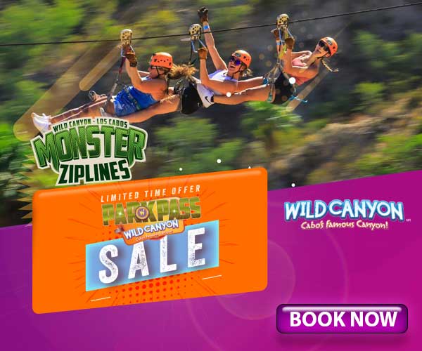 Wild Canyon adventure park in Los Cabos