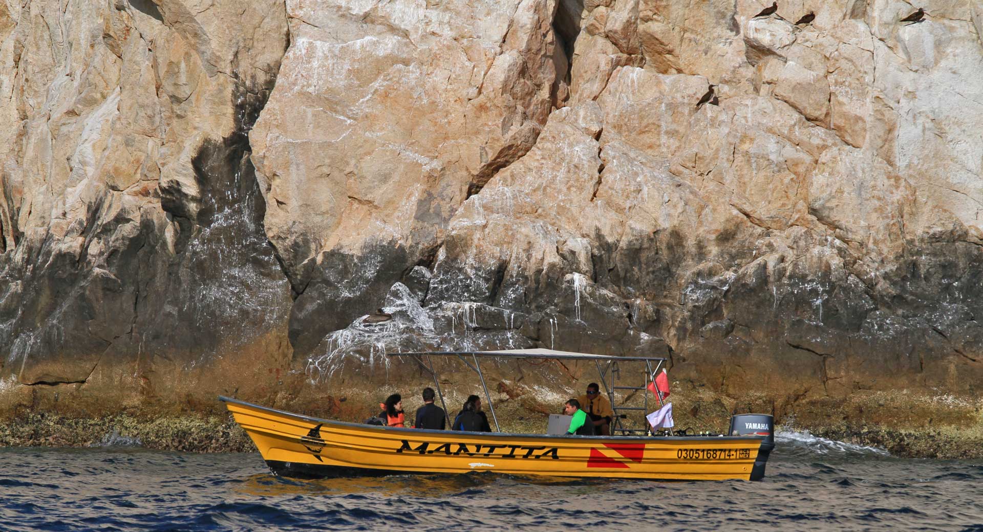 Diving and Snorkeling in Los Cabos
