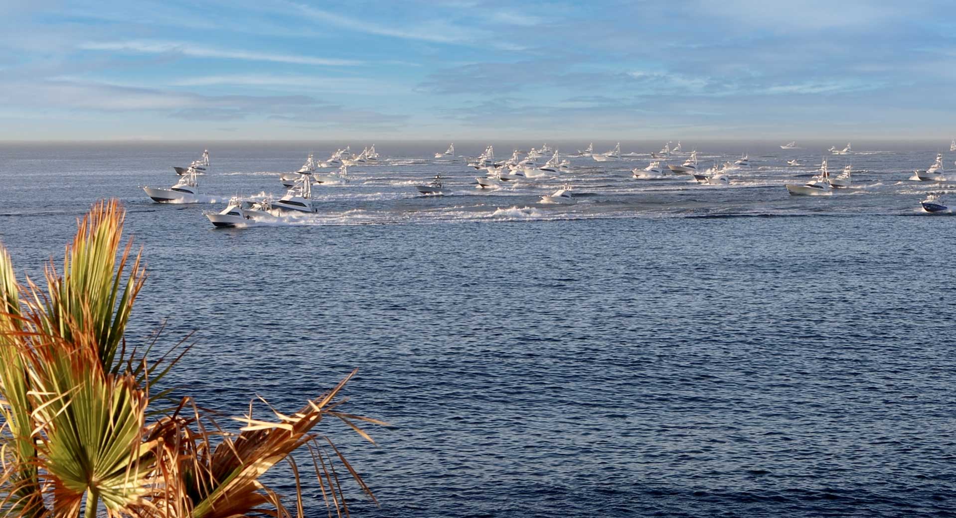 A fisherman's guide to fishing tournaments in Cabo San Lucas, Los Cabos.