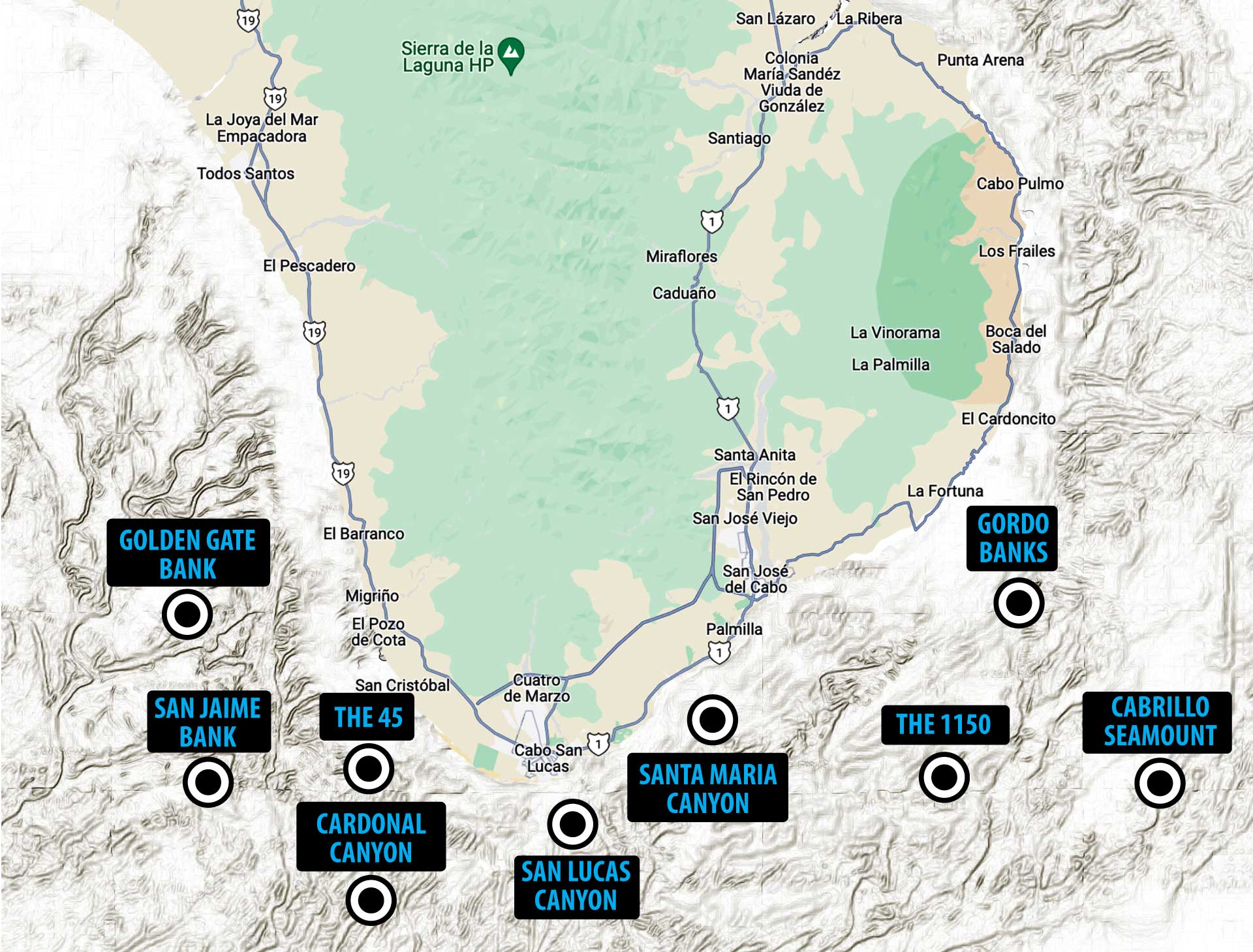 Map showing the most popular fishing spots off of Los Cabos
